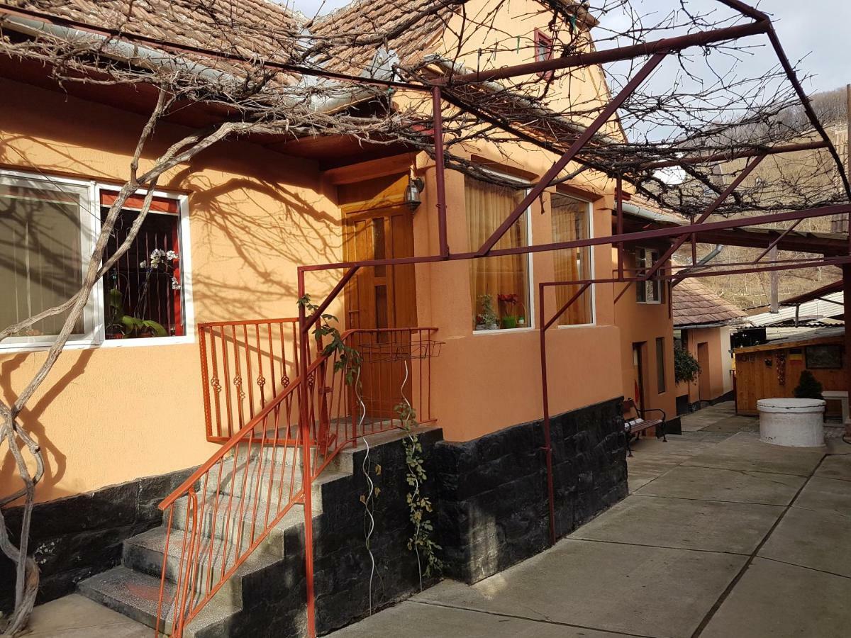 Casa De Oaspeti Morii 22 Malancrav Exterior foto